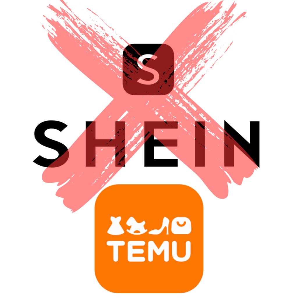Temu, o novo marketplace no Brasil que irá desbancar a Shein? 1 Post Temu